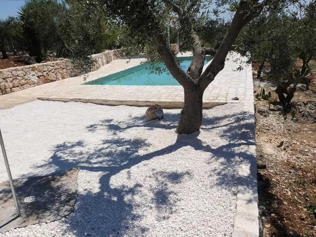 Casa Giuliveto - Charmantes Ferienhaus Mit Privatpool In Olivenhain Остуни Екстериор снимка