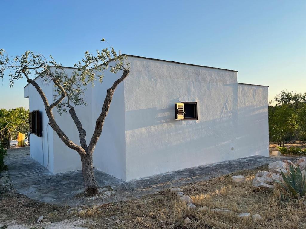 Casa Giuliveto - Charmantes Ferienhaus Mit Privatpool In Olivenhain Остуни Екстериор снимка
